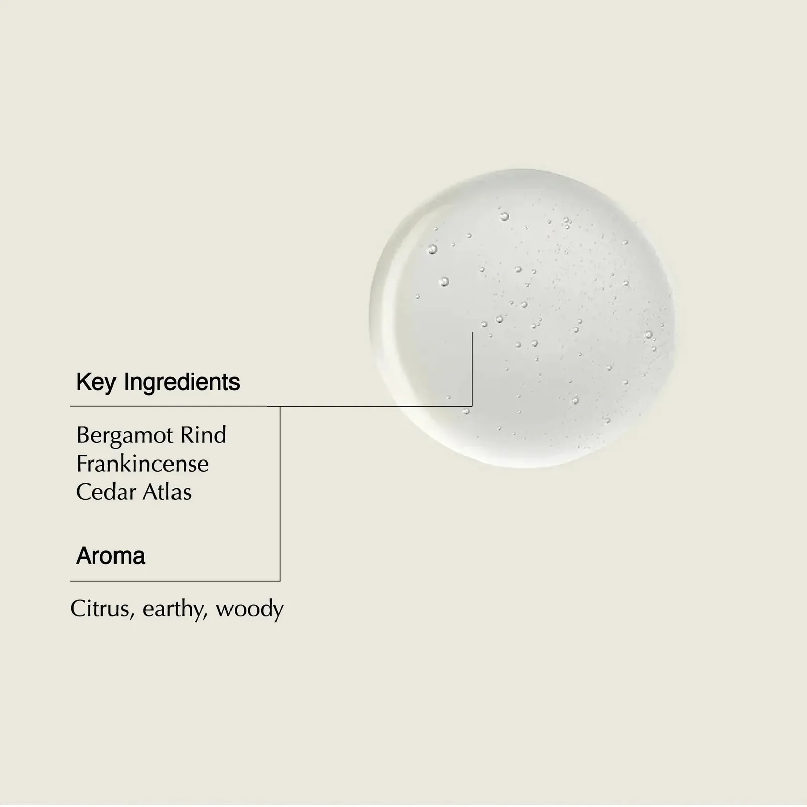 Shampoo & Conditioner Refill Set (Pack of 2)