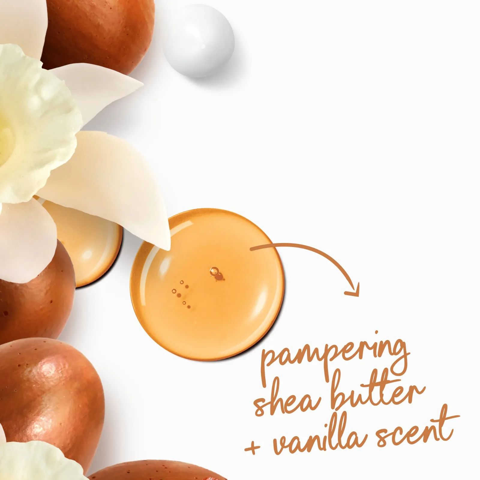 Shea Butter & Vanilla Body Wash