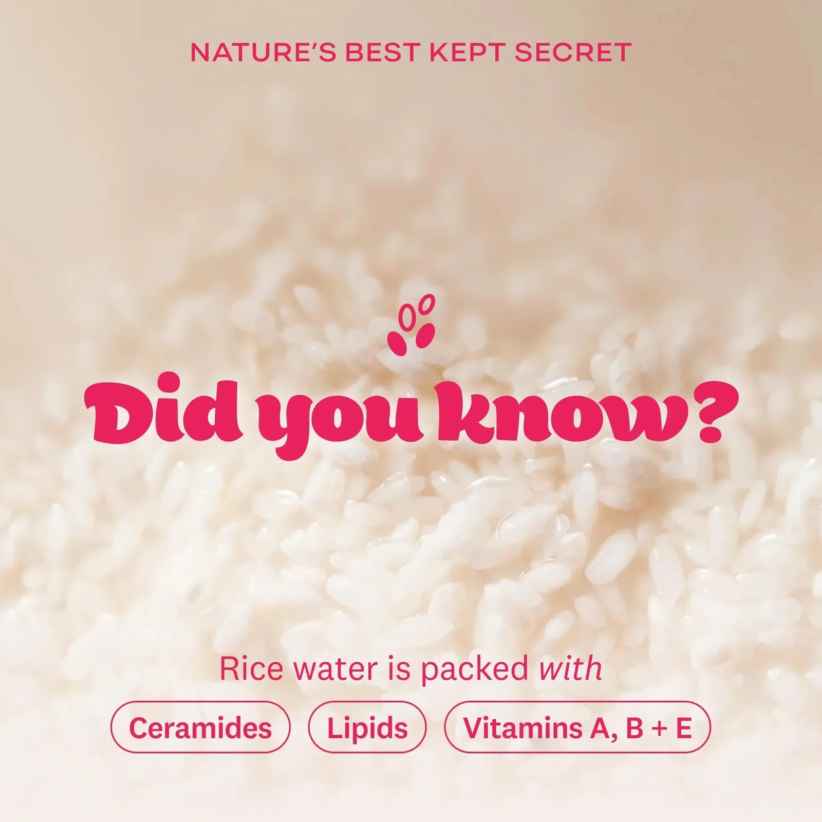 Rice Water Bright Foaming Facial Cleanser with Ceramide
