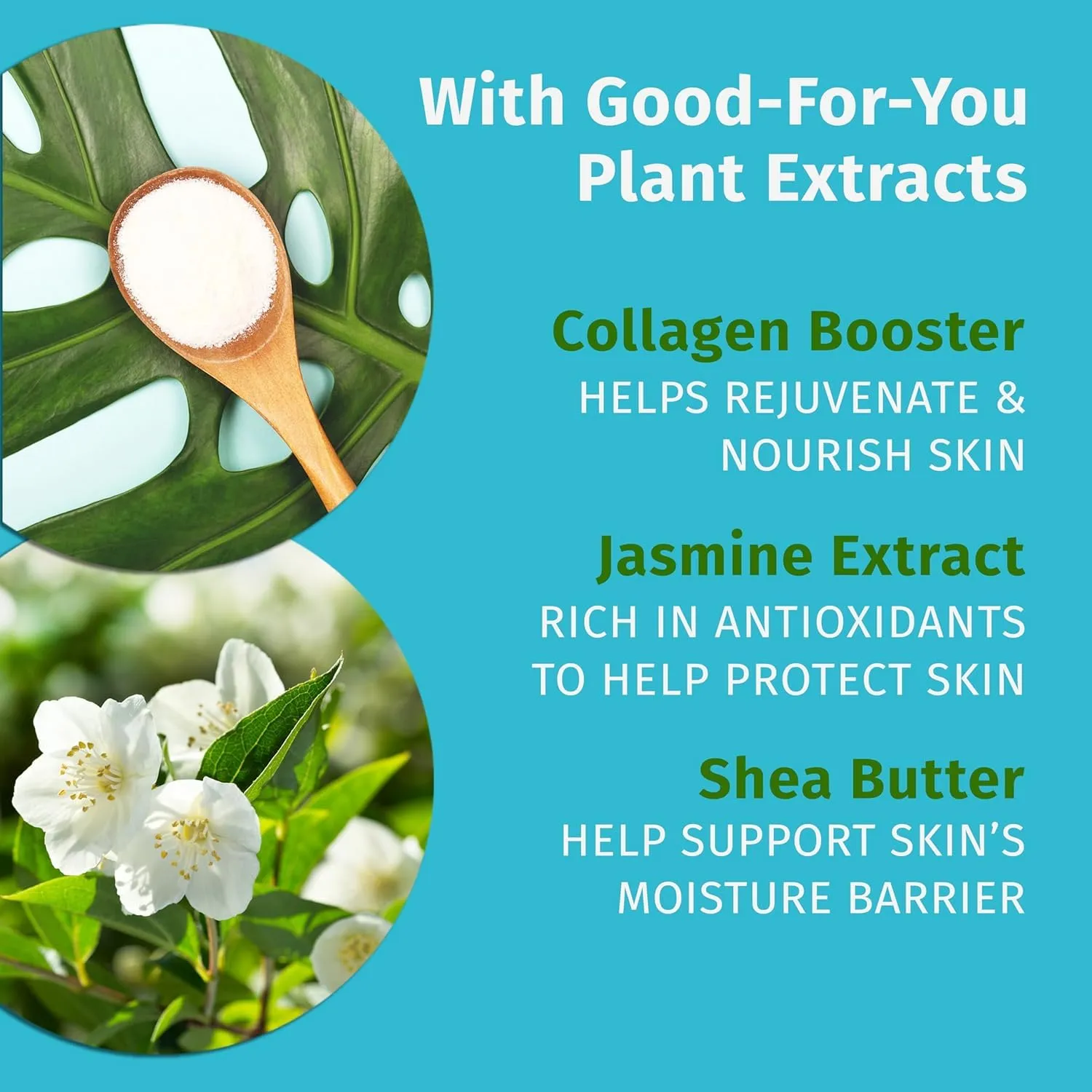 Sweet Jasmine & Rose Body Moisturizer