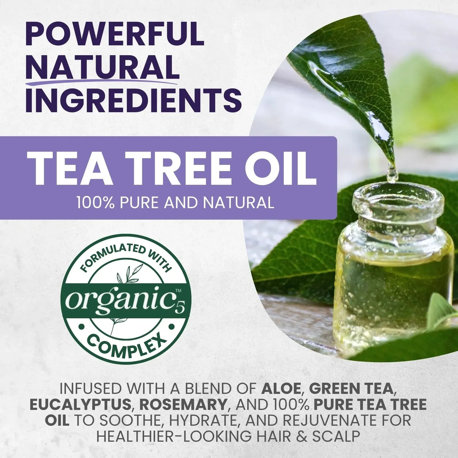 Tea Tree Purple Shampoo & Conditioner