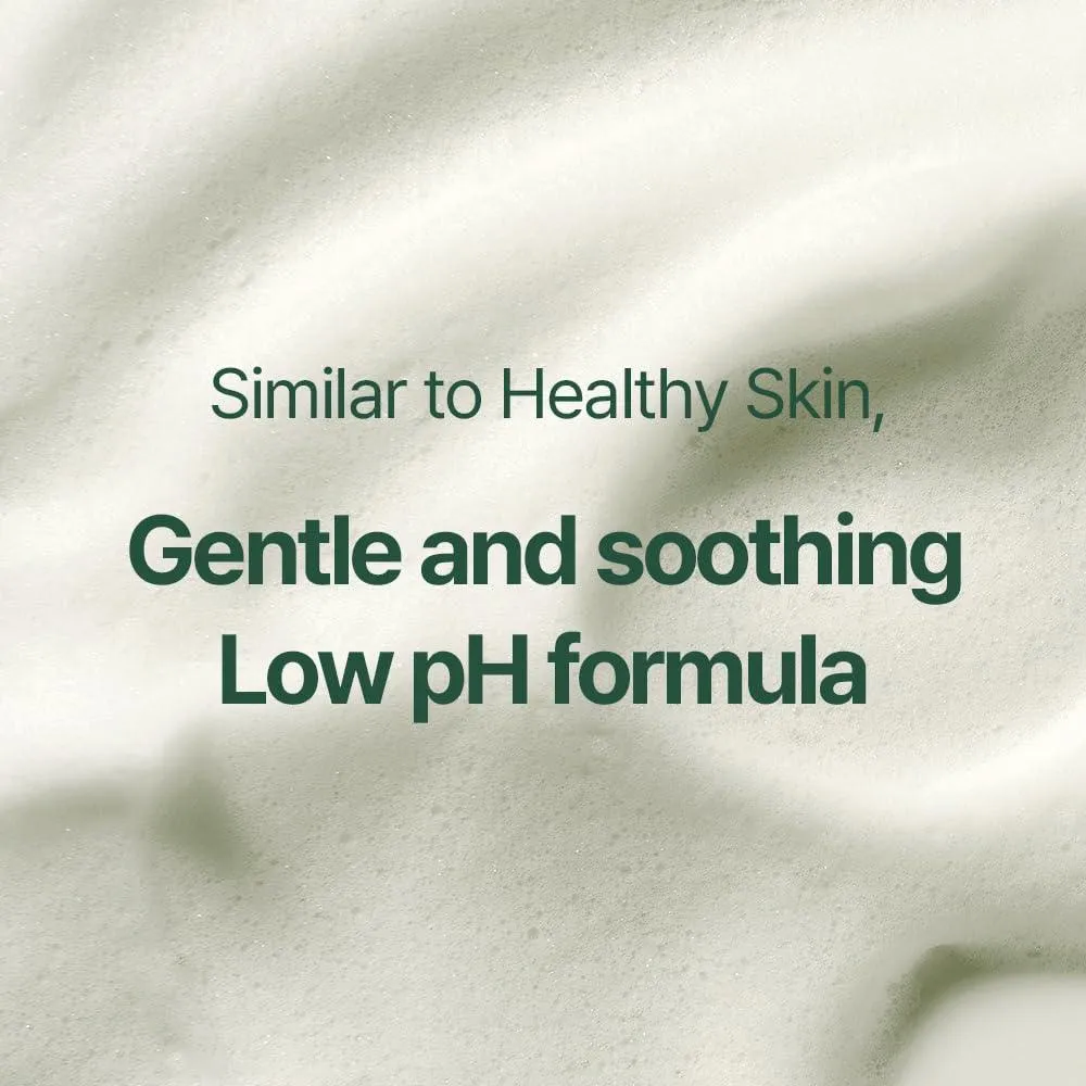 PKY Calming Cleansing Foam with Cica, Tea Tree Extract 3.38 Fl.oz