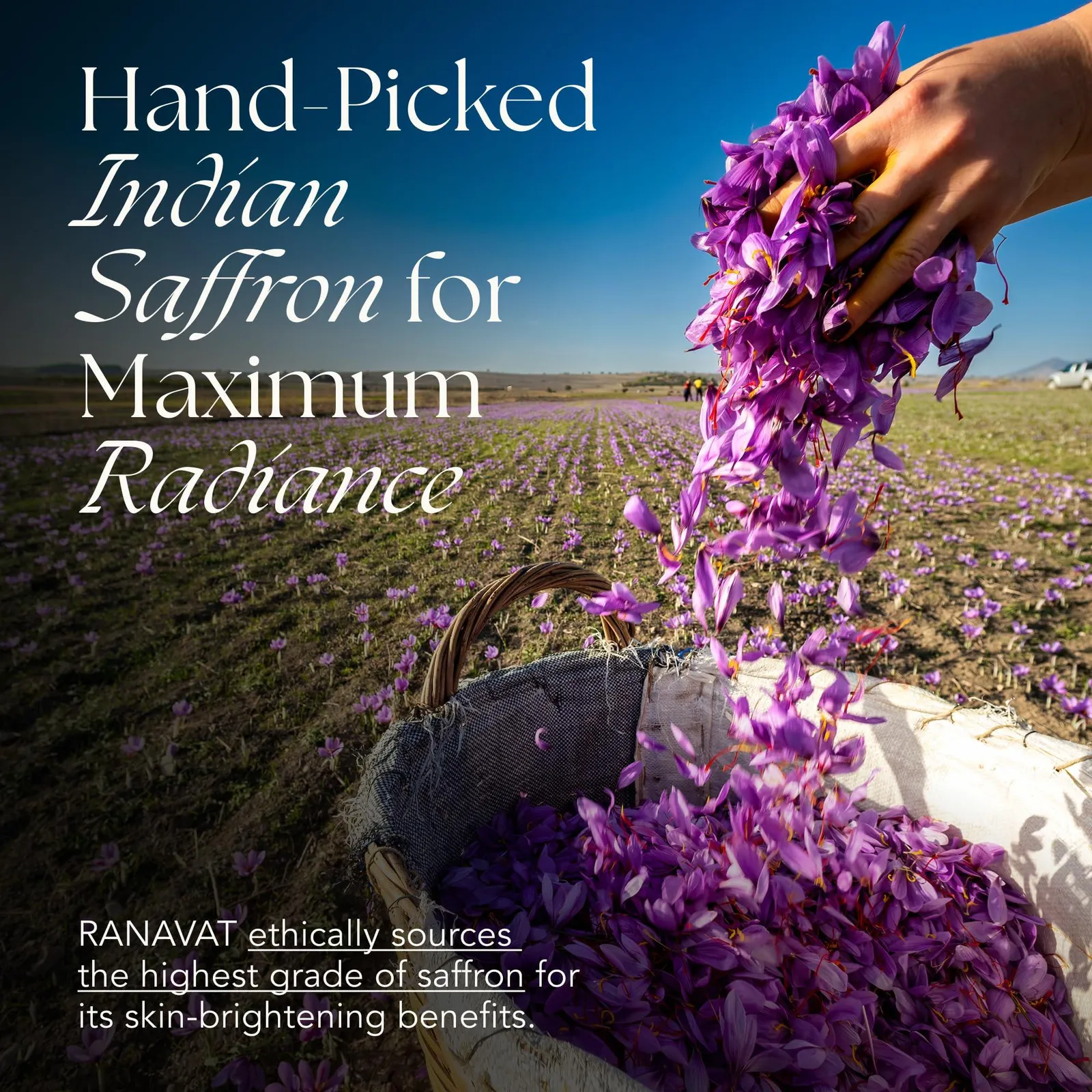 Radiant Rani Brightening Saffron Facial Essence - Hydrating Milk Toner
