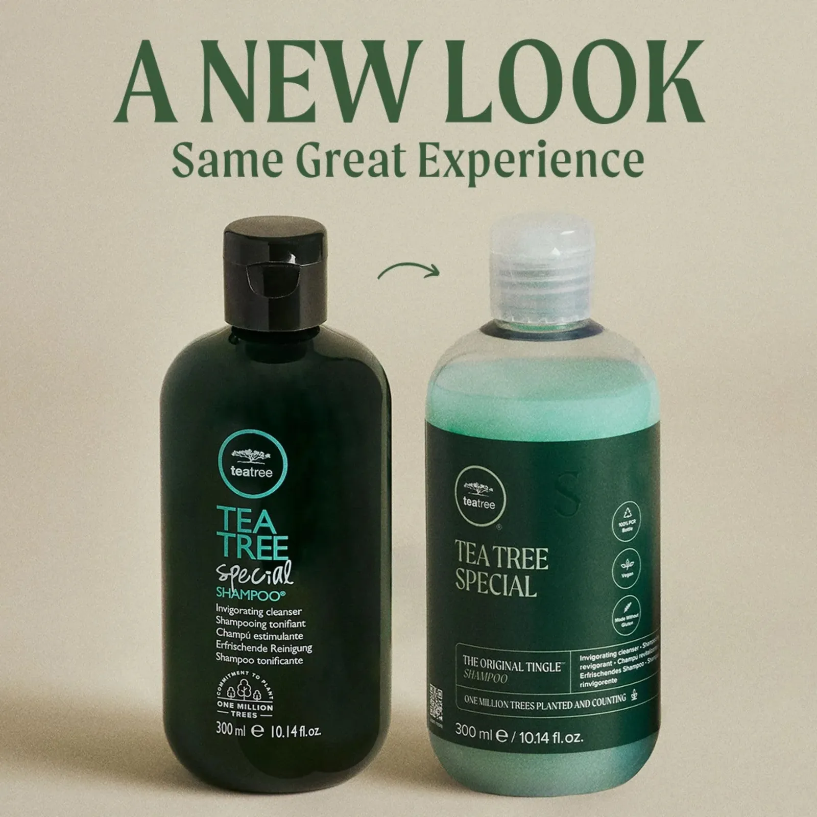 Special Shampoo For All Hair Types