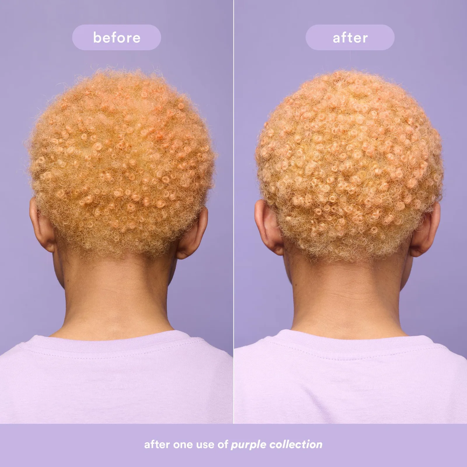 Purple Shampoo