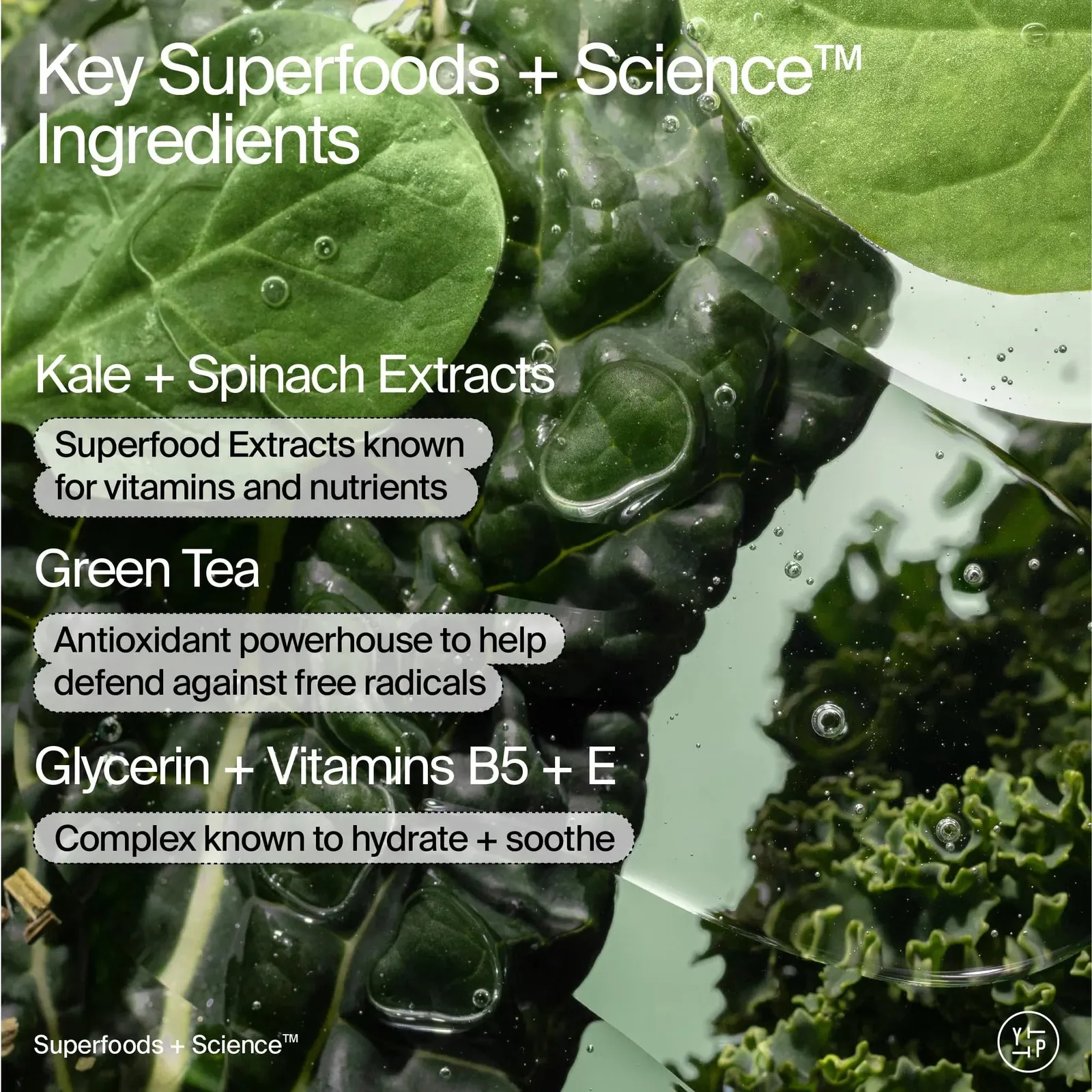 Superfood Facial Cleanser - Kale + Green Tea Daily Face Wash